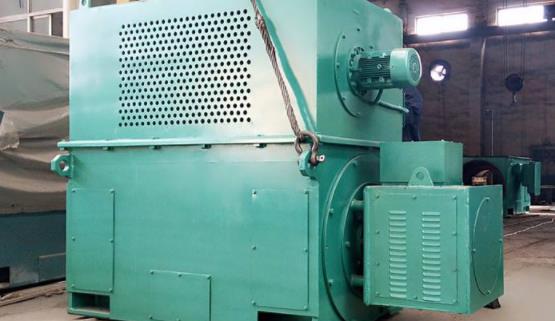 心藝48v20ah用啥電機(jī)，心藝電動(dòng)車配備的電機(jī)規(guī)格